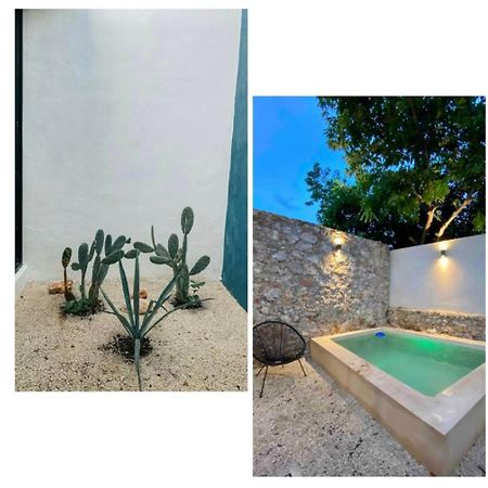 メリダ Modern Casa With Pool 7 Mins From Centro 5Min La Plancha Parkヴィラ エクステリア 写真