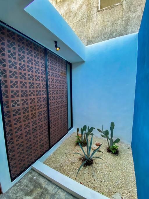 メリダ Modern Casa With Pool 7 Mins From Centro 5Min La Plancha Parkヴィラ エクステリア 写真