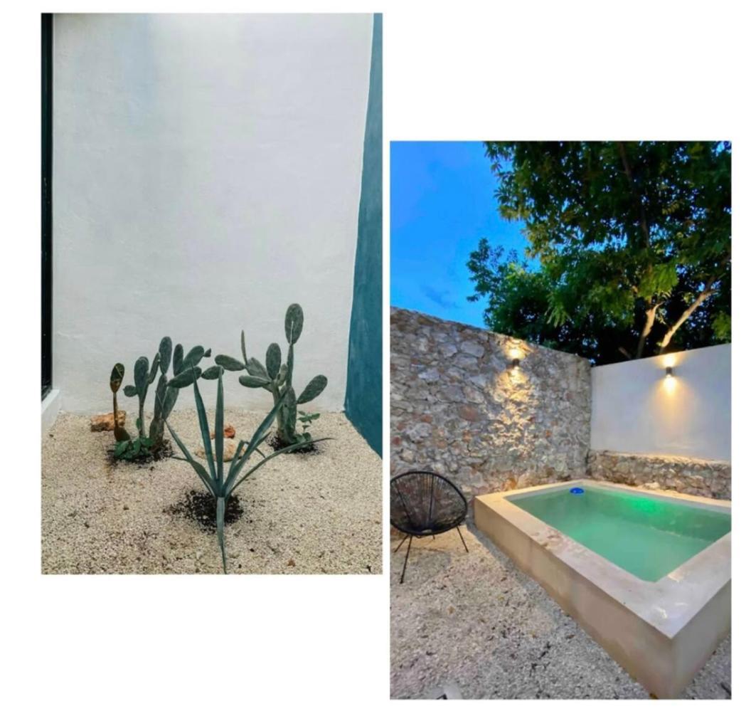 メリダ Modern Casa With Pool 7 Mins From Centro 5Min La Plancha Parkヴィラ エクステリア 写真